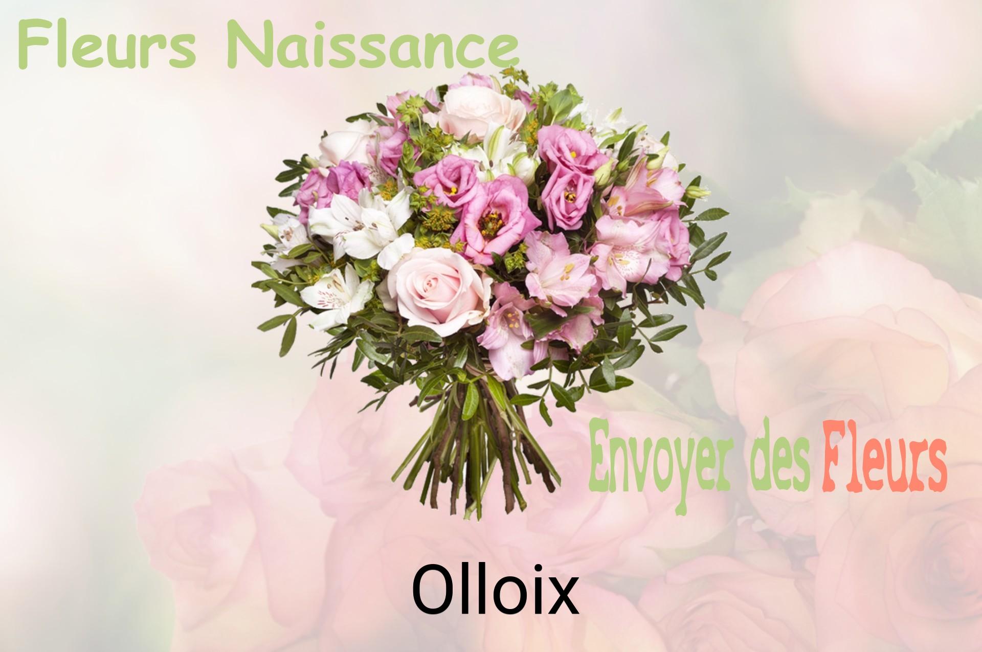 Bouquet de fleurs de naissance livré à Olloix