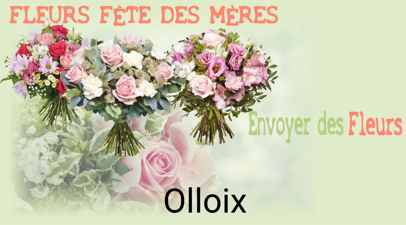 Bouquet de Fête des Mères livré à Olloix